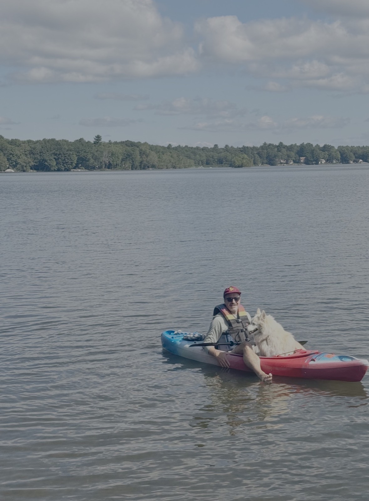 Dog on a kayak.