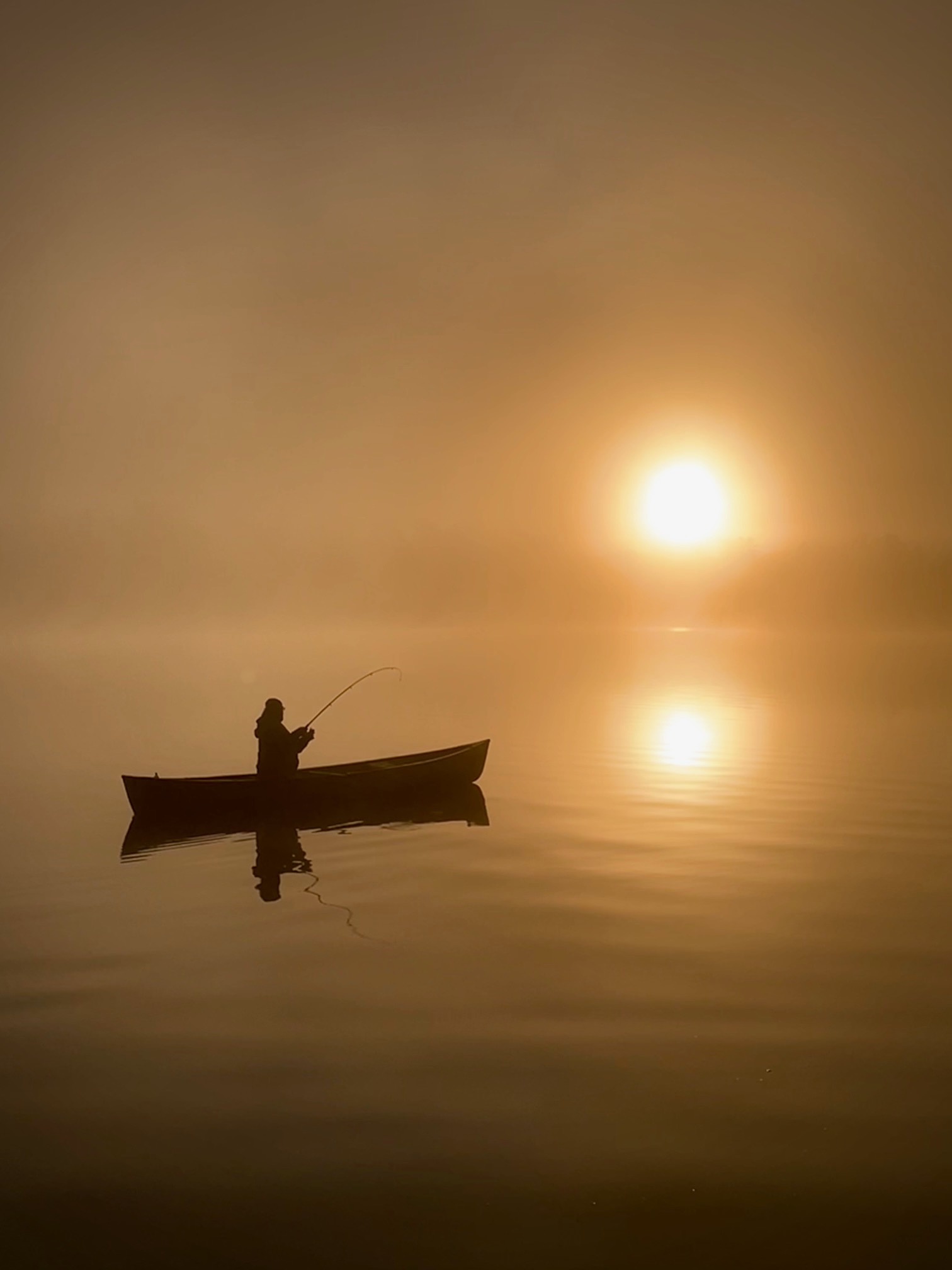 Evening calm on the lake
